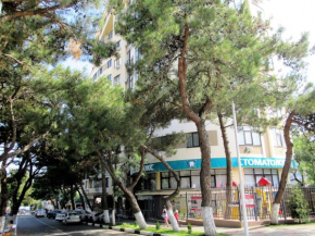 Apartments on Primorskoi